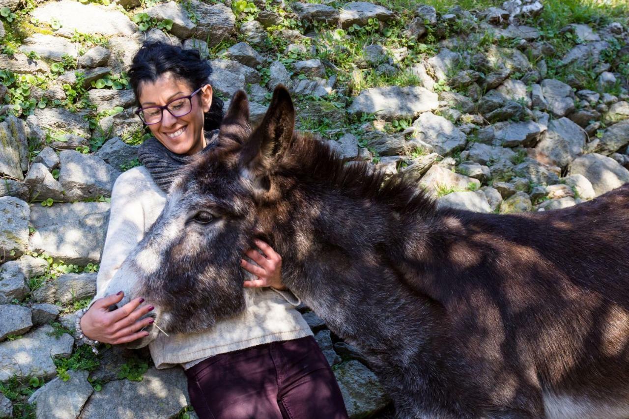 Agriturismo A Ca Vegia Calice Ligure Ngoại thất bức ảnh