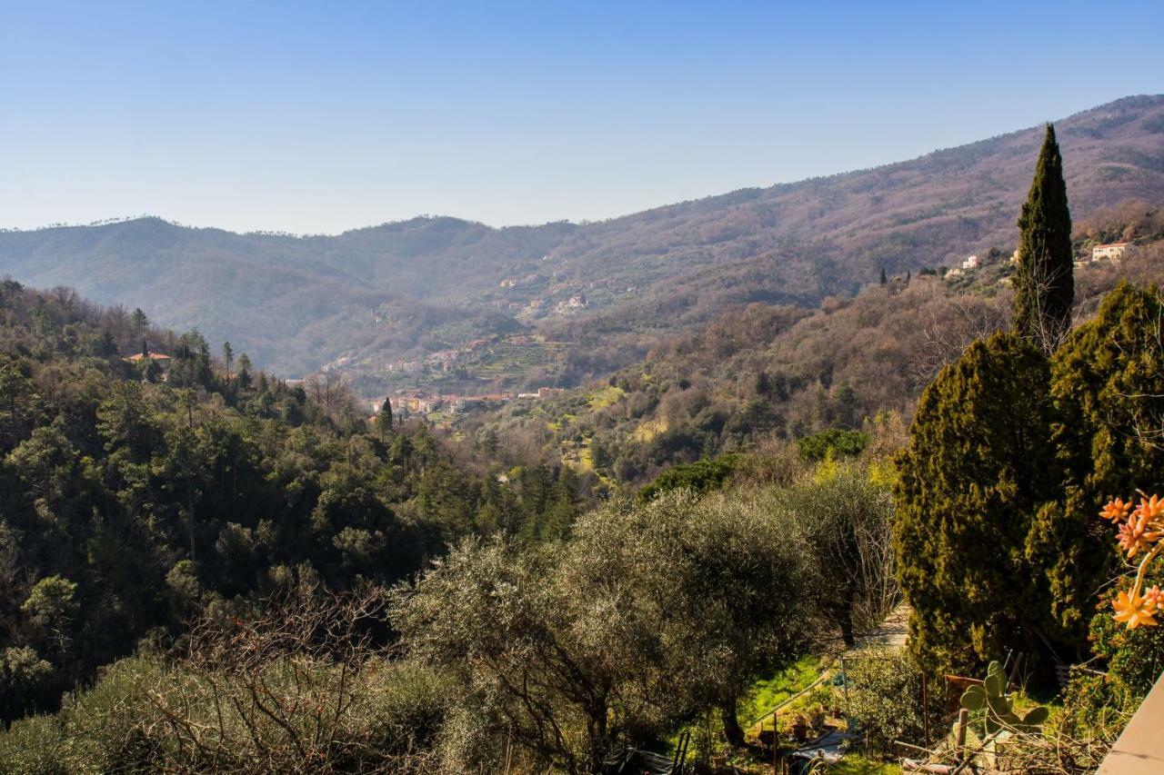 Agriturismo A Ca Vegia Calice Ligure Ngoại thất bức ảnh